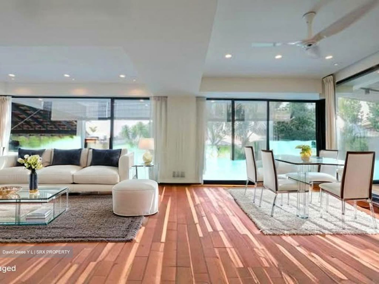 Shamrock Park (D10), Detached #535466551
